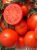Tomatoes Supergonets