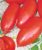 Tomatoes CX-1 Rudas