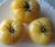 Tomatoes White Giant