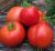Tomatoes Crohn's
