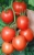 Tomatoes Tolstoy F1