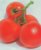 Tomatoes Stork F1