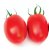 Tomatoes Volga F1