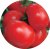 Tomatoes Carlos F1