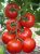 Tomatoes Lafanya F1