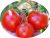 Tomatoes New Kuban