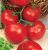 Tomatoes Raissi F1