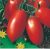 Tomatoes Semko-101 F1