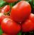 Tomatoes Stresa F1