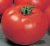 Tomatoes Akulina