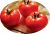 Tomatoes Virtuoso F1