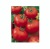 Tomatoes Spring F1