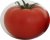 Tomatoes Guidon F1