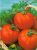Tomatoes Zinaida F1