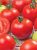 Tomatoes Murillo F1