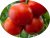 Tomatoes Aristocrat F1