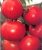 Tomatoes Garant
