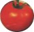 Tomatoes Princess F1