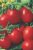 Tomatoes Hummingbird F1