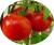 Tomatoes Red Sun F1