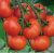 Tomatoes Lindos F1