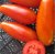 Tomatoes Siberian Mamin
