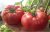 Tomatoes Yaroslav F1