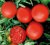 Tomatoes Porthos F1