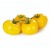 Tomatoes Golden