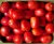 Tomatoes Peto 86 original