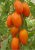 Tomatoes Karotinka