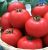 Tomatoes Jaguar F1