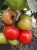 Tomatoes Fuensanta F1