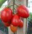 Tomatoes Palenque F1