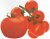 Tomatoes Crystal F1