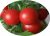 Tomatoes Astrakhan