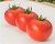 Tomatoes Minaret F1