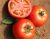Tomatoes Emrero F1