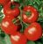 Tomatoes Captain F1