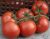 Tomatoes Azov F1