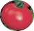 Tomatoes Amur dawn