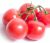 Tomatoes Aravis F1