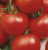 Tomatoes Vlad F1