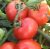 Tomatoes Heinz 1370