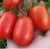 Tomatoes Littau F1