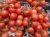 Tomatoes Tayana