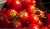 Tomatoes Jablonka Russia