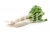 Radish Daikon Winner of China
