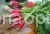 Radish Glory (Slavia)