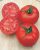Tomatoes Katyusha F1